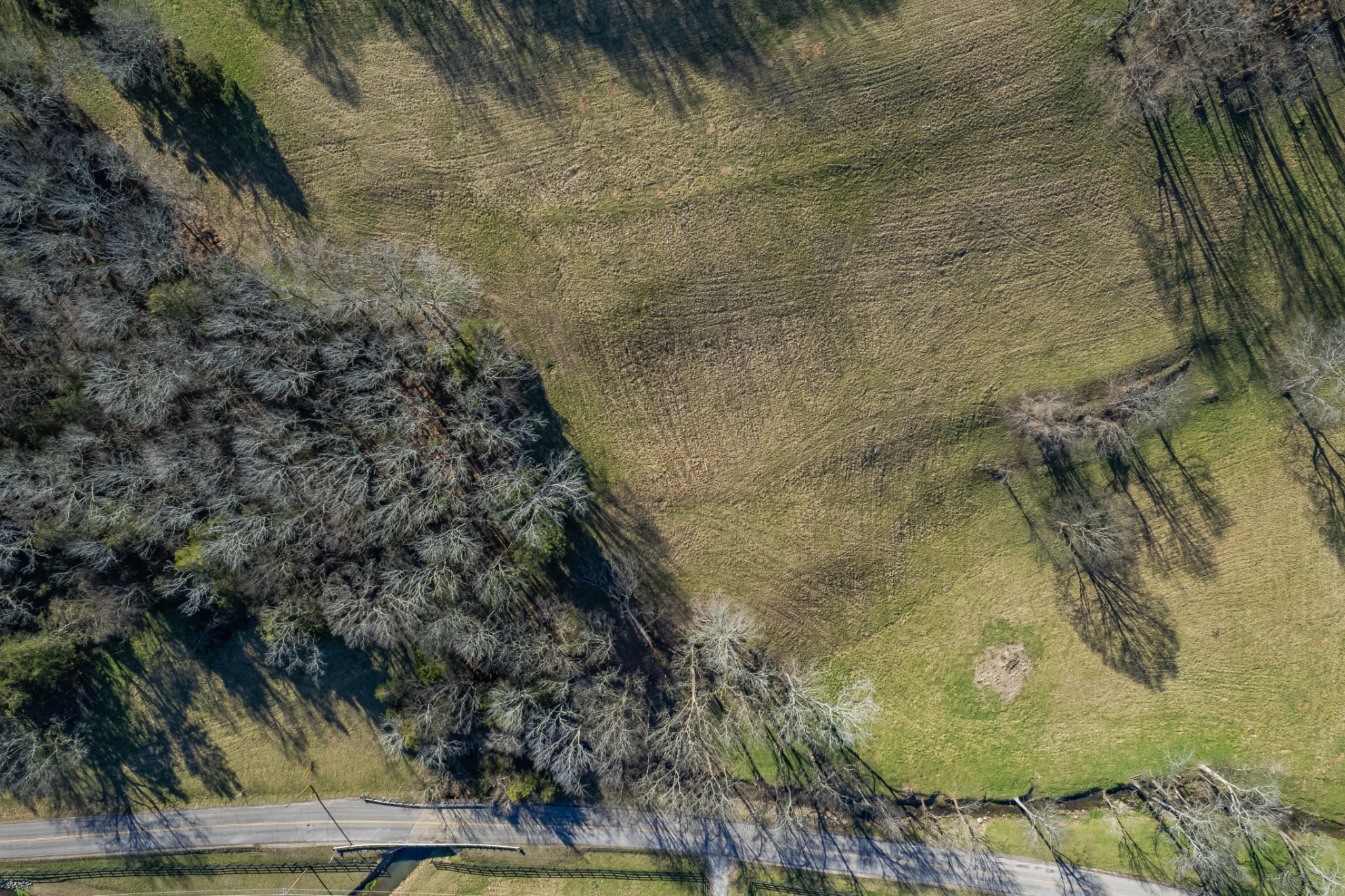 11 Gaskill Branch Road Santa Fe, TN 38482 - Photo 57 of 88