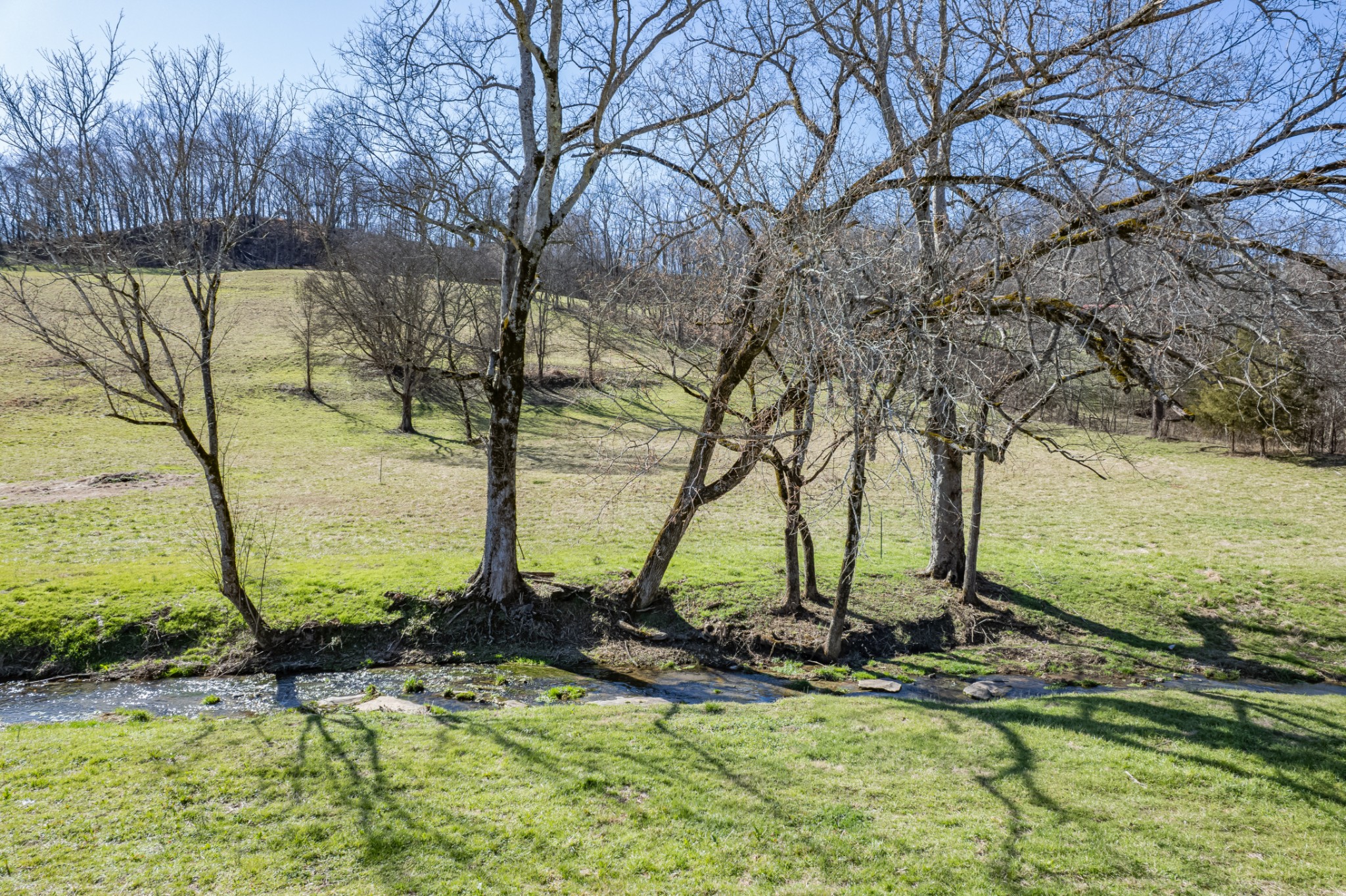 11 Gaskill Branch Road Santa Fe, TN 38482 - Photo 6 of 88
