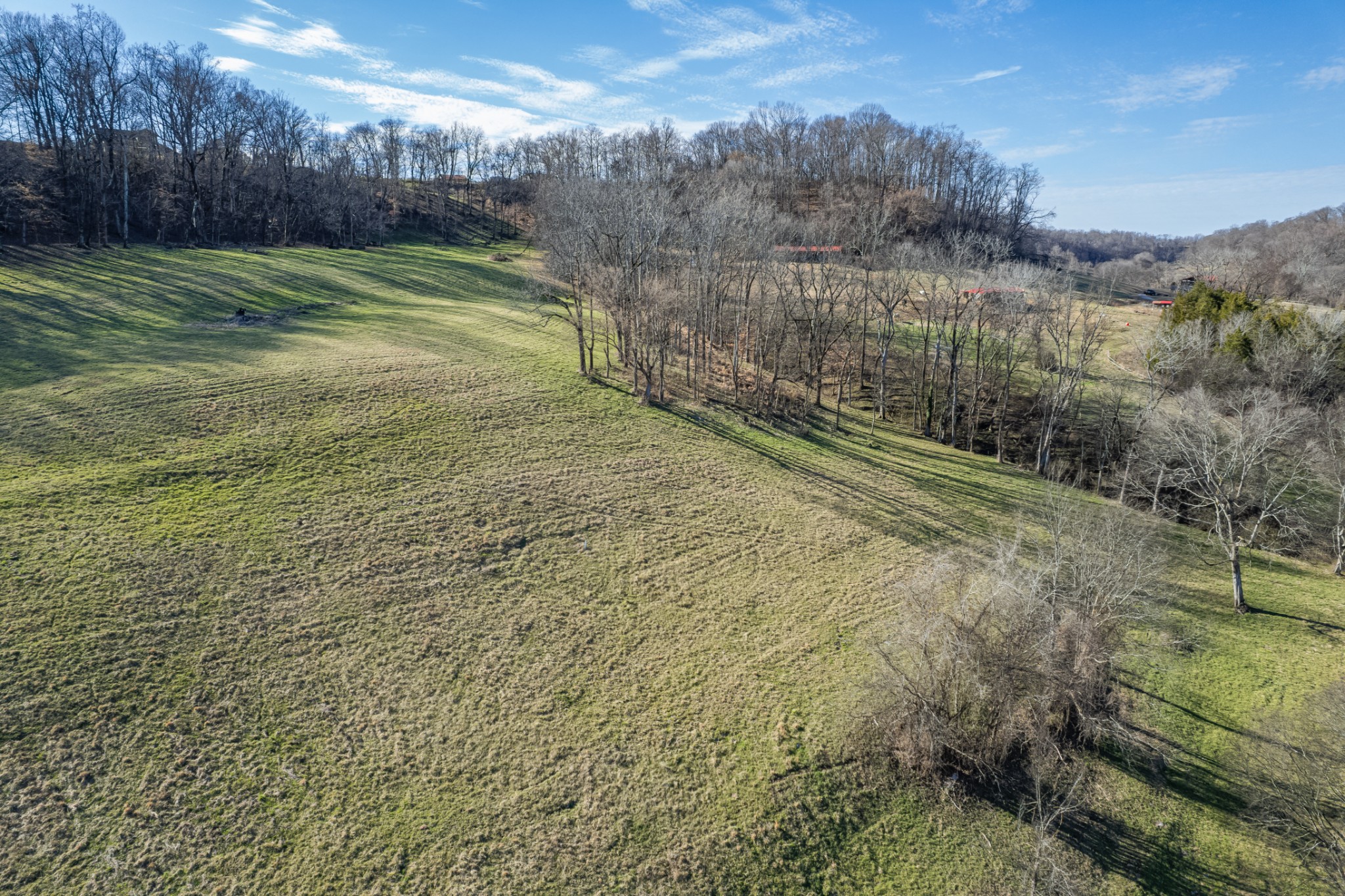 11 Gaskill Branch Road Santa Fe, TN 38482 - Photo 63 of 88