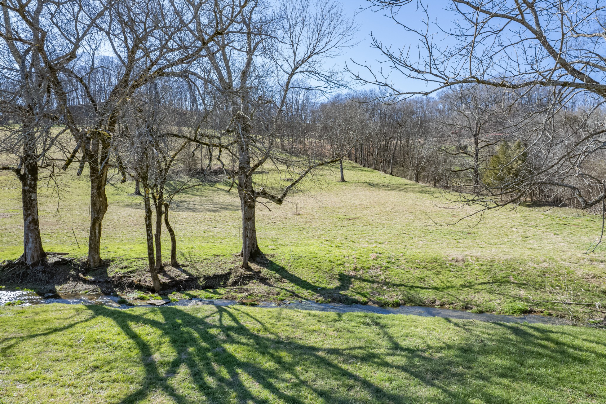 11 Gaskill Branch Road Santa Fe, TN 38482 - Photo 7 of 88