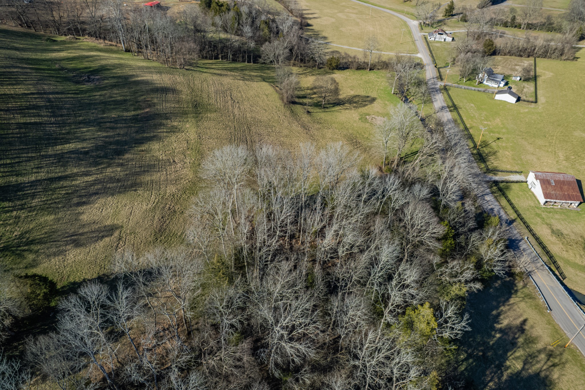 11 Gaskill Branch Road Santa Fe, TN 38482 - Photo 74 of 88