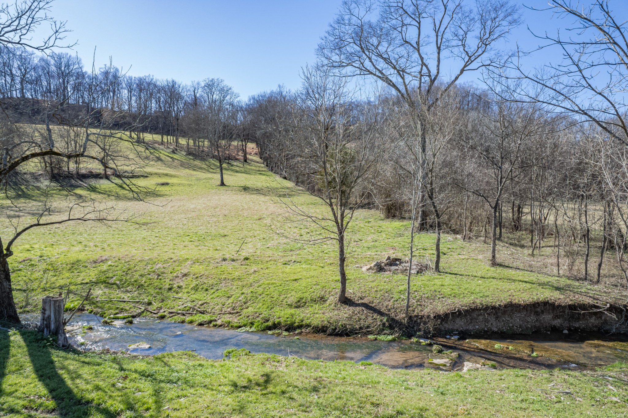 11 Gaskill Branch Road Santa Fe, TN 38482 - Photo 8 of 88