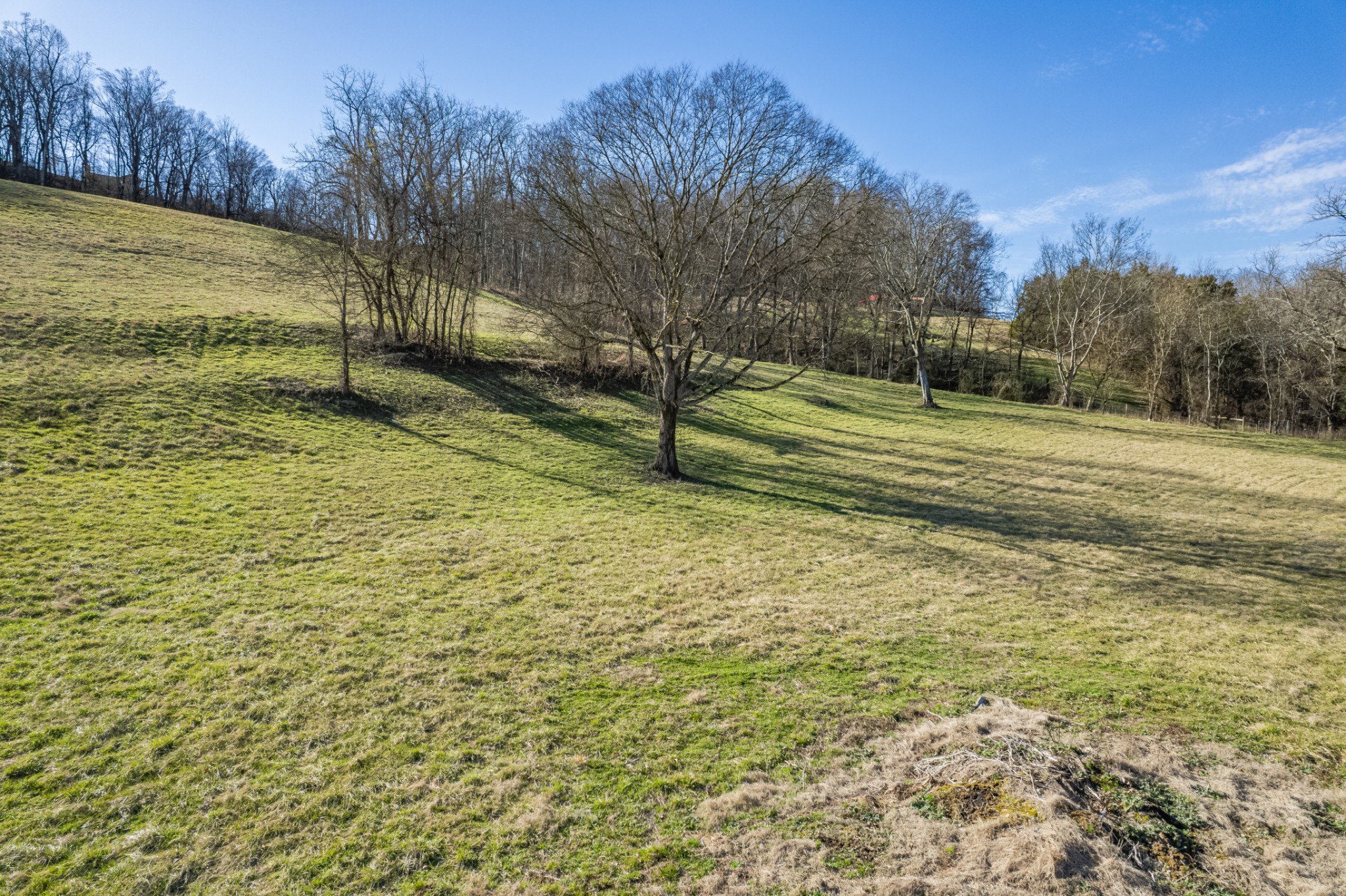 11 Gaskill Branch Road Santa Fe, TN 38482 - Photo 83 of 88
