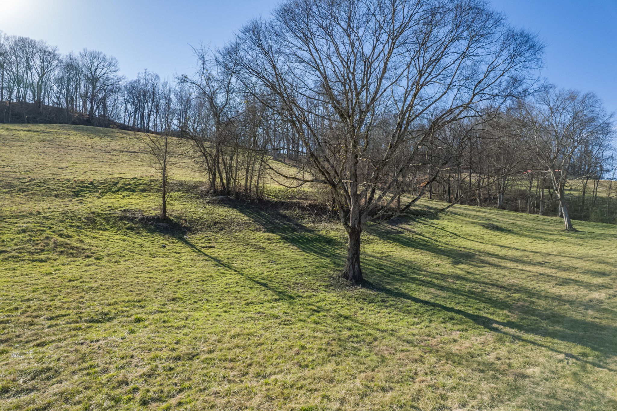 11 Gaskill Branch Road Santa Fe, TN 38482 - Photo 85 of 88