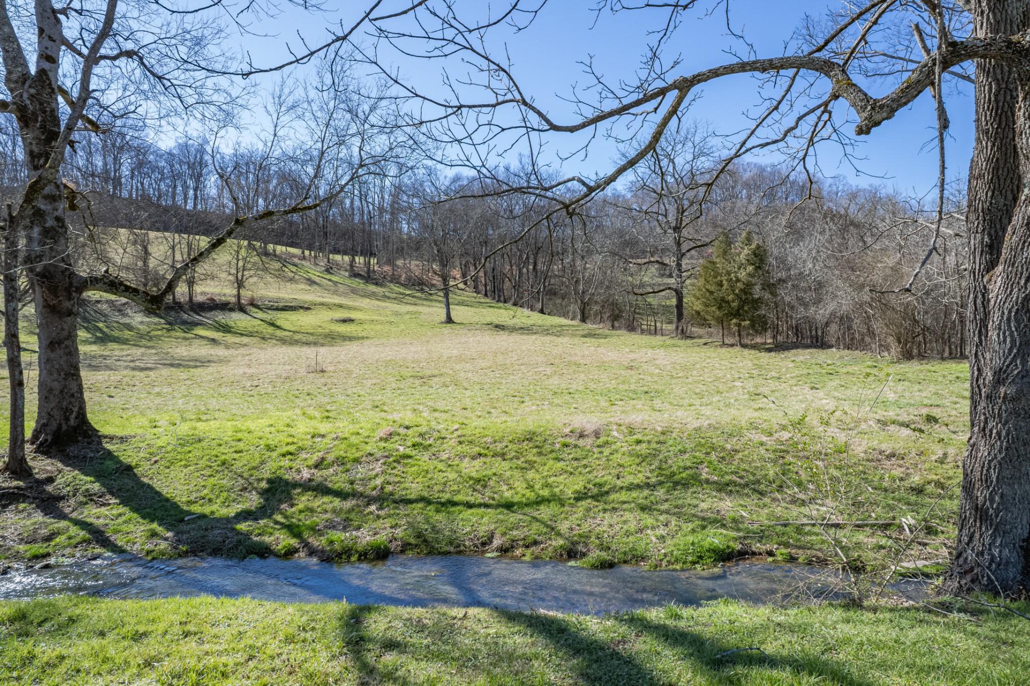 11 Gaskill Branch Road Santa Fe, TN 38482 - Photo 9 of 88