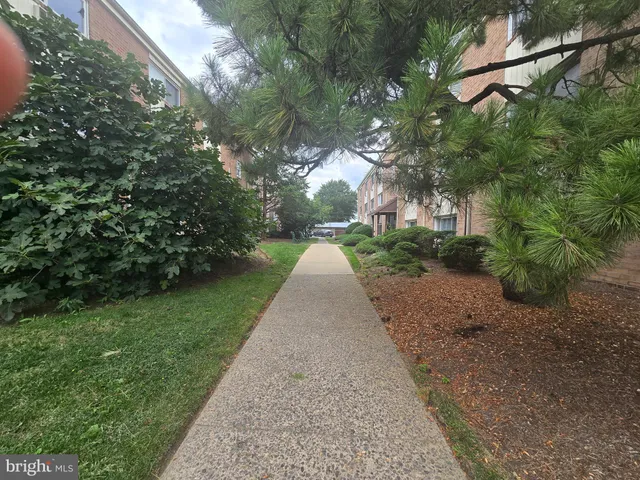 a view of a pathway with a park