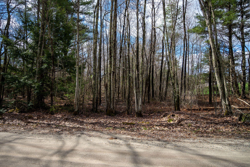 436-lot A Foster Road Auburn, ME 04210 - Photo 30 of 35 DSC_4513