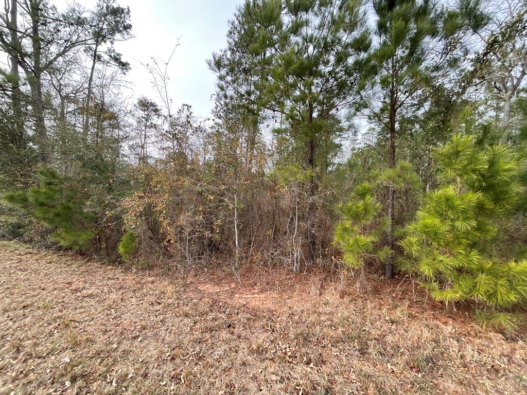 0 Booster Club Road, Unit 39 Bainbridge, GA 39819 - Photo 8 of 24 Gallery Image 8