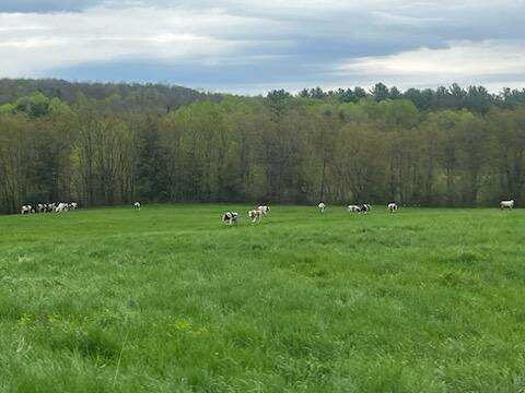 414 Farmington Falls Road Farmington, ME 04938 - Photo 13 of 38 3206975183808204954