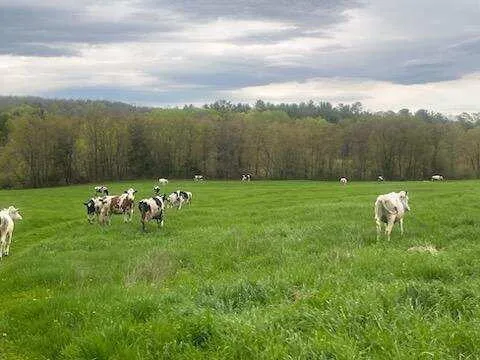 $1,549,900 | 414 Farmington Falls Road, Farmington, ME 04938