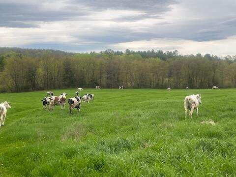 414 Farmington Falls Road Farmington, ME 04938 - Photo 14 of 38 914216213791010990
