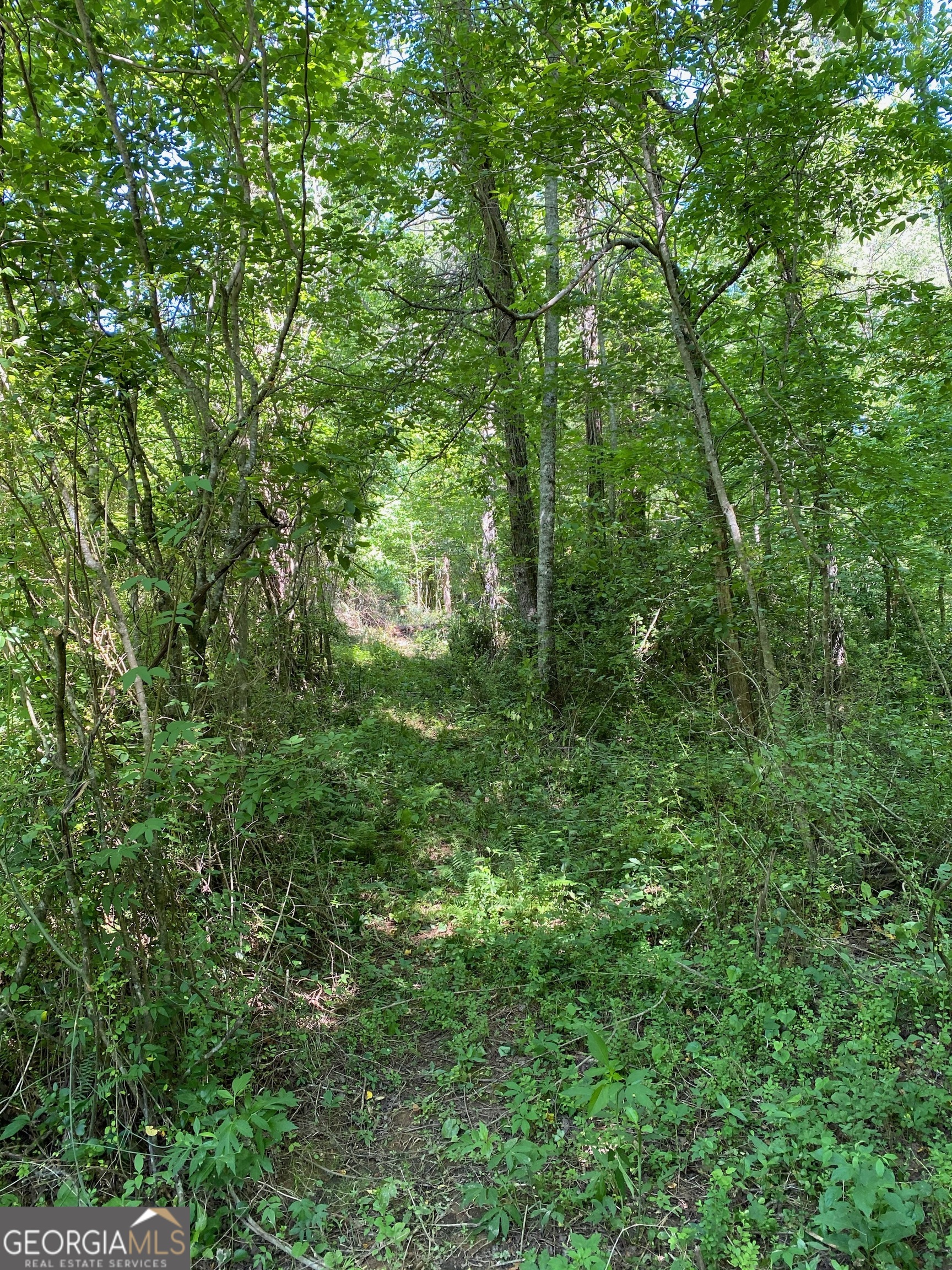 0 Hardman Road Sautee Nacoochee, GA 30571 - Photo 5 of 16