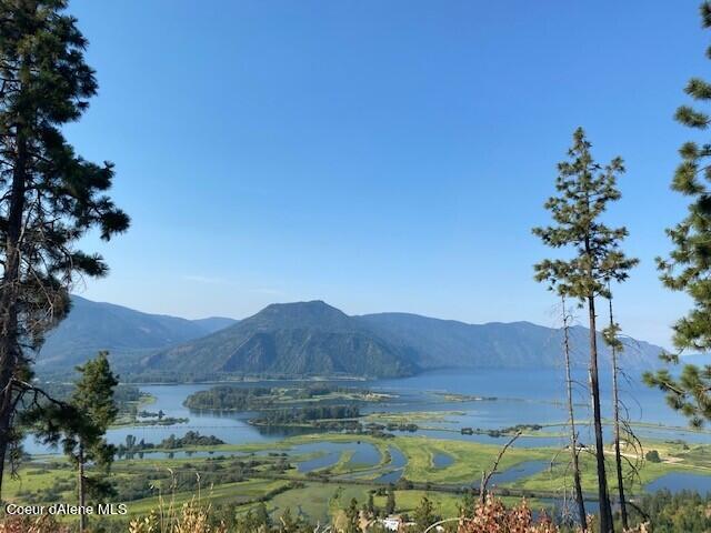 Lot A Highway 200 Hope, ID 83836 - Photo 12 of 26 Monarch View 11