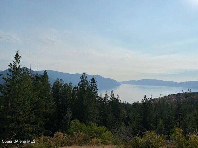 Lot A Highway 200 Hope, ID 83836 - Photo 6 of 26 Monarch View 4