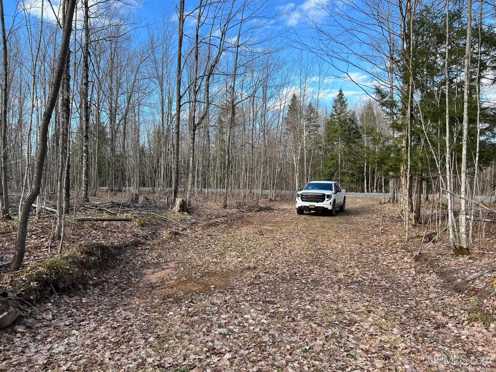 Tbd10 Dog Patch Road, Unit LOT D Lanse, MI 49946 - Photo 4 of 15