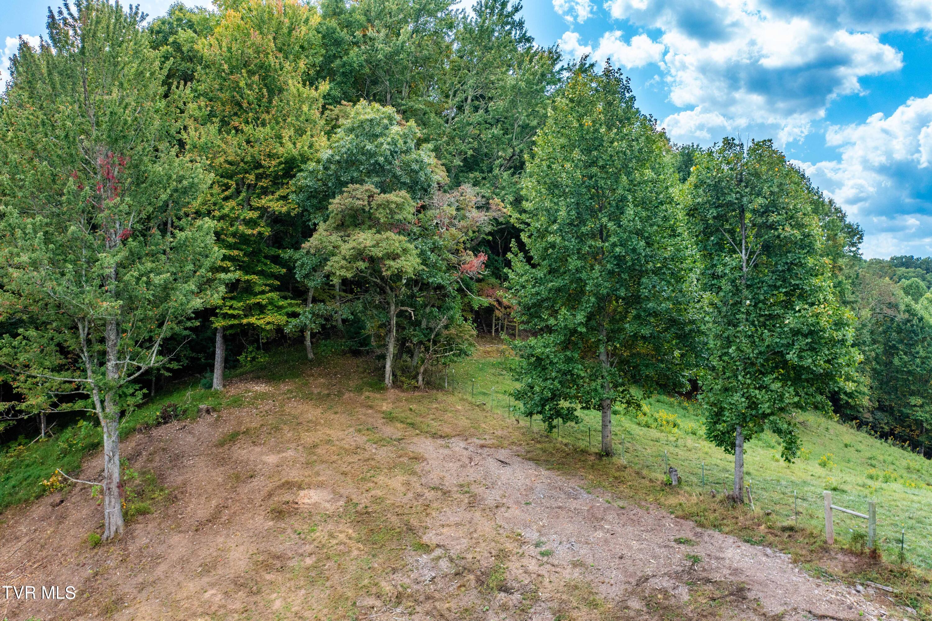 Tbd Oaks Road Unicoi, TN 37692 - Photo 12 of 35 TBD Oaks Rd (16 of 35)