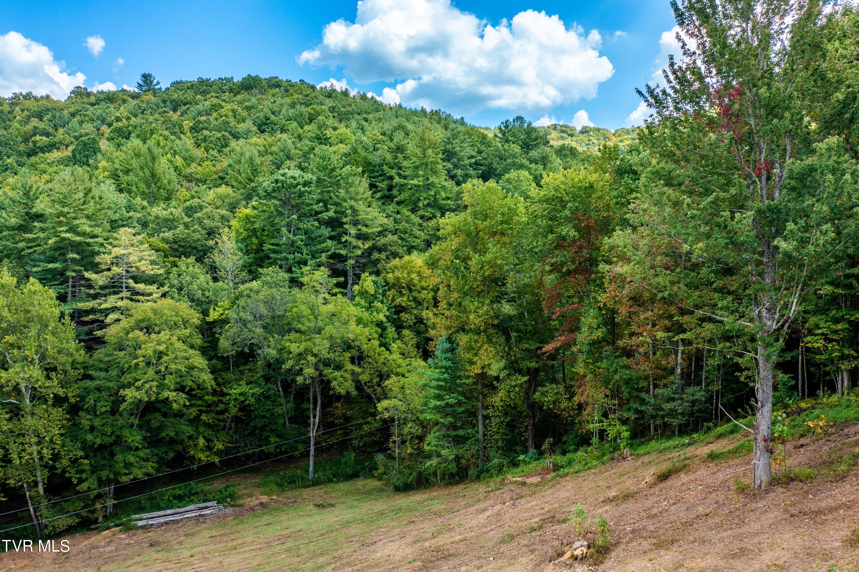 Tbd Oaks Road Unicoi, TN 37692 - Photo 14 of 35 TBD Oaks Rd (18 of 35)