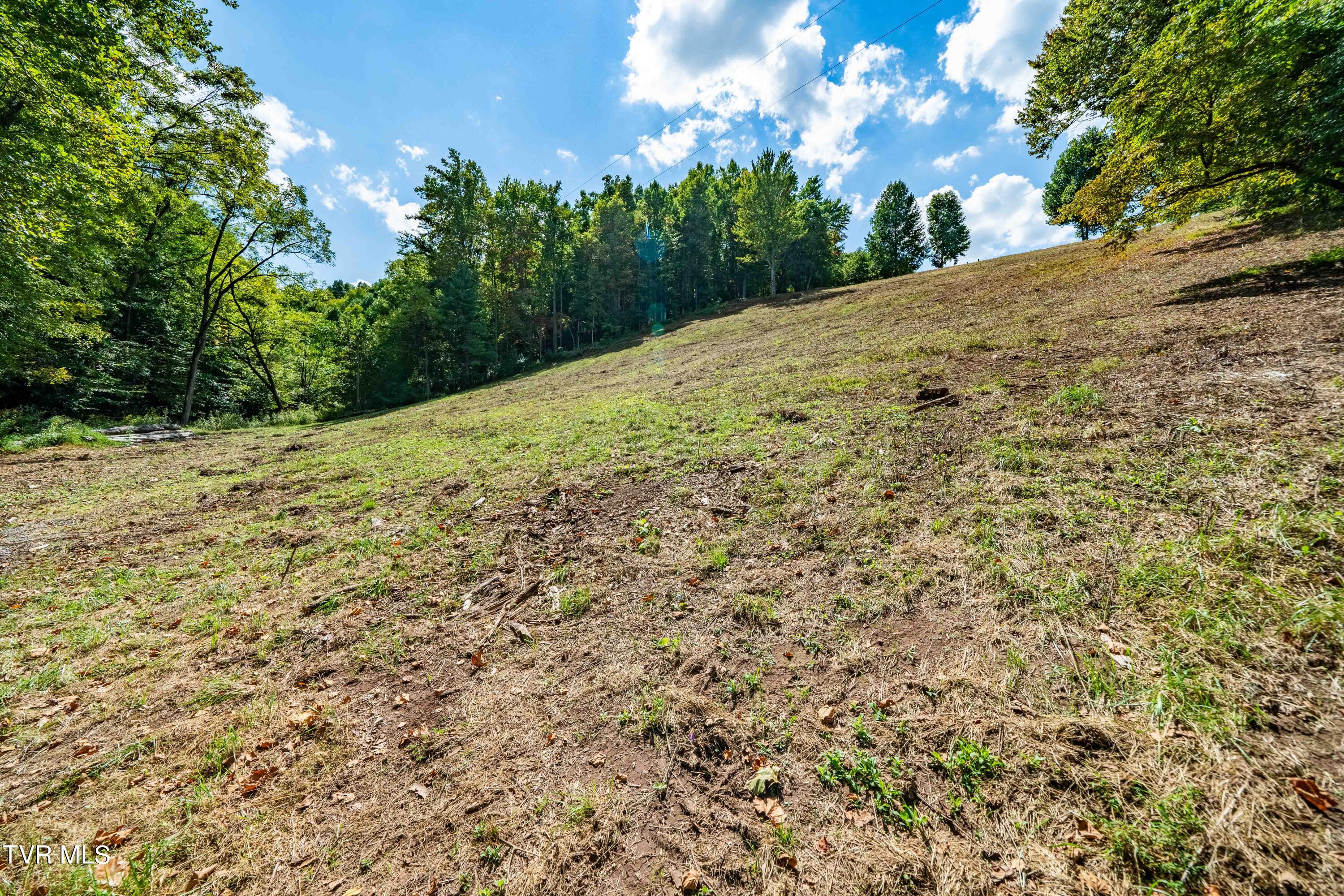 Tbd Oaks Road Unicoi, TN 37692 - Photo 16 of 35 TBD Oaks Rd (35 of 35)