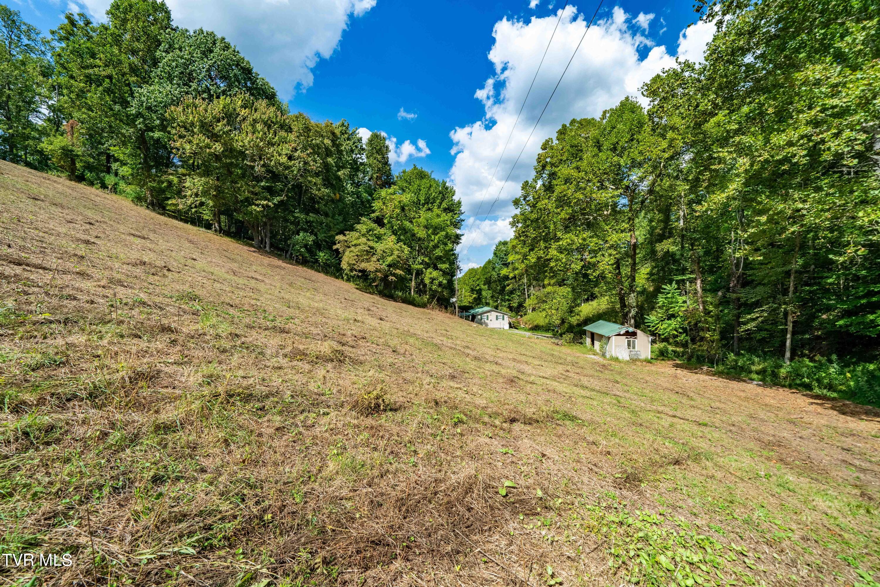 Tbd Oaks Road Unicoi, TN 37692 - Photo 17 of 35 TBD Oaks Rd (30 of 35)