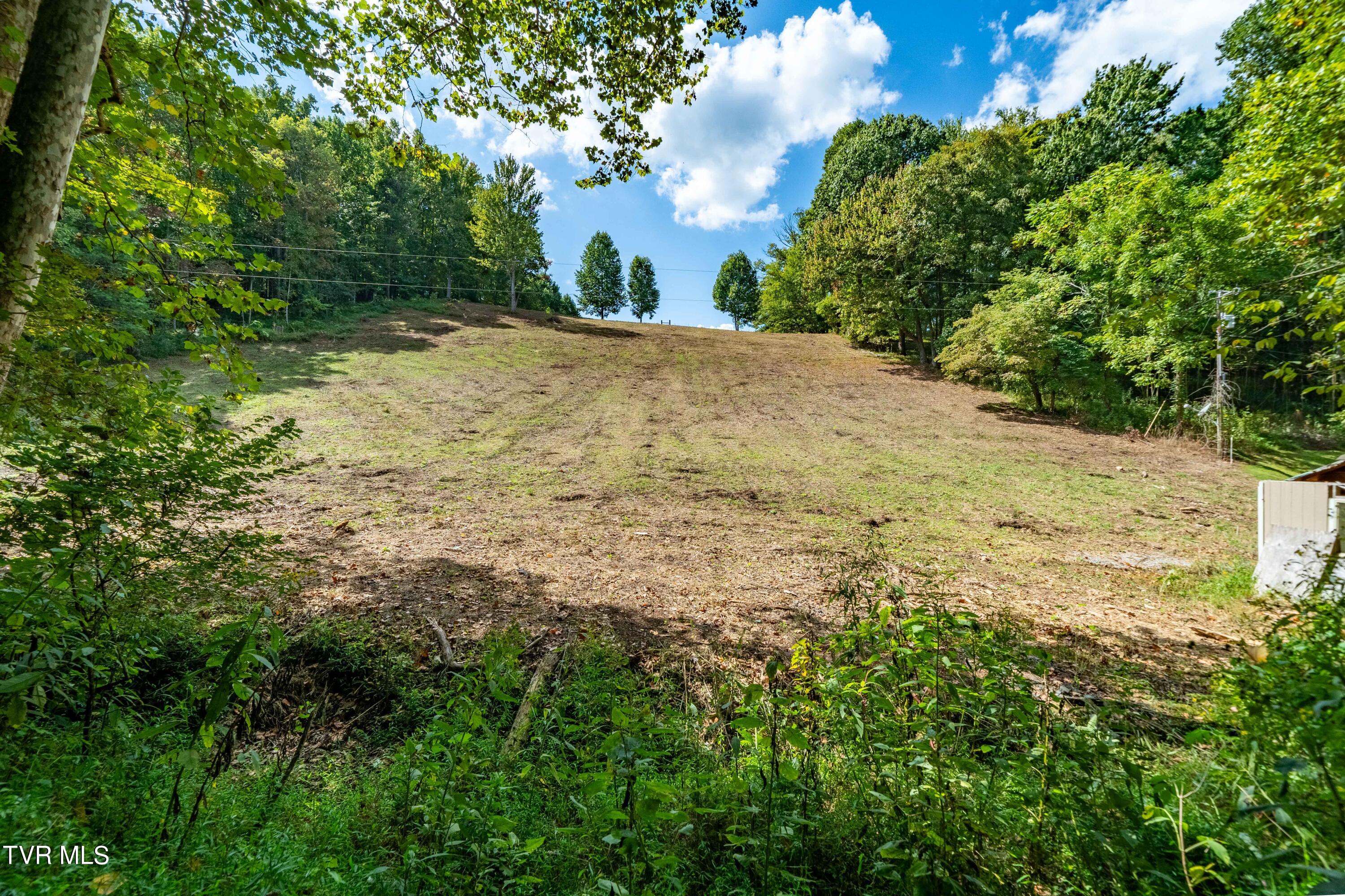 Tbd Oaks Road Unicoi, TN 37692 - Photo 20 of 35 TBD Oaks Rd (24 of 35)