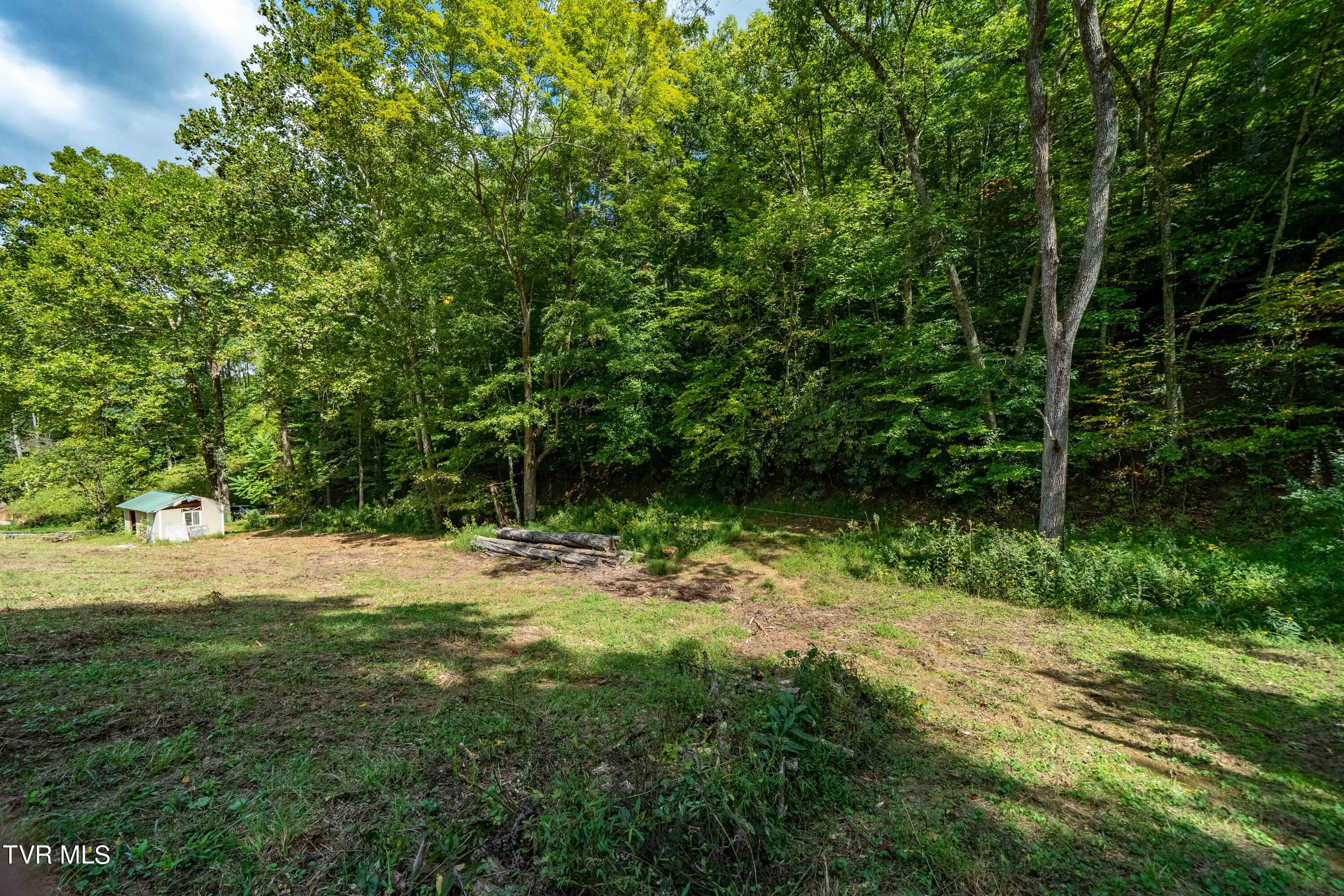 Tbd Oaks Road Unicoi, TN 37692 - Photo 2 of 35 TBD Oaks Rd (29 of 35)
