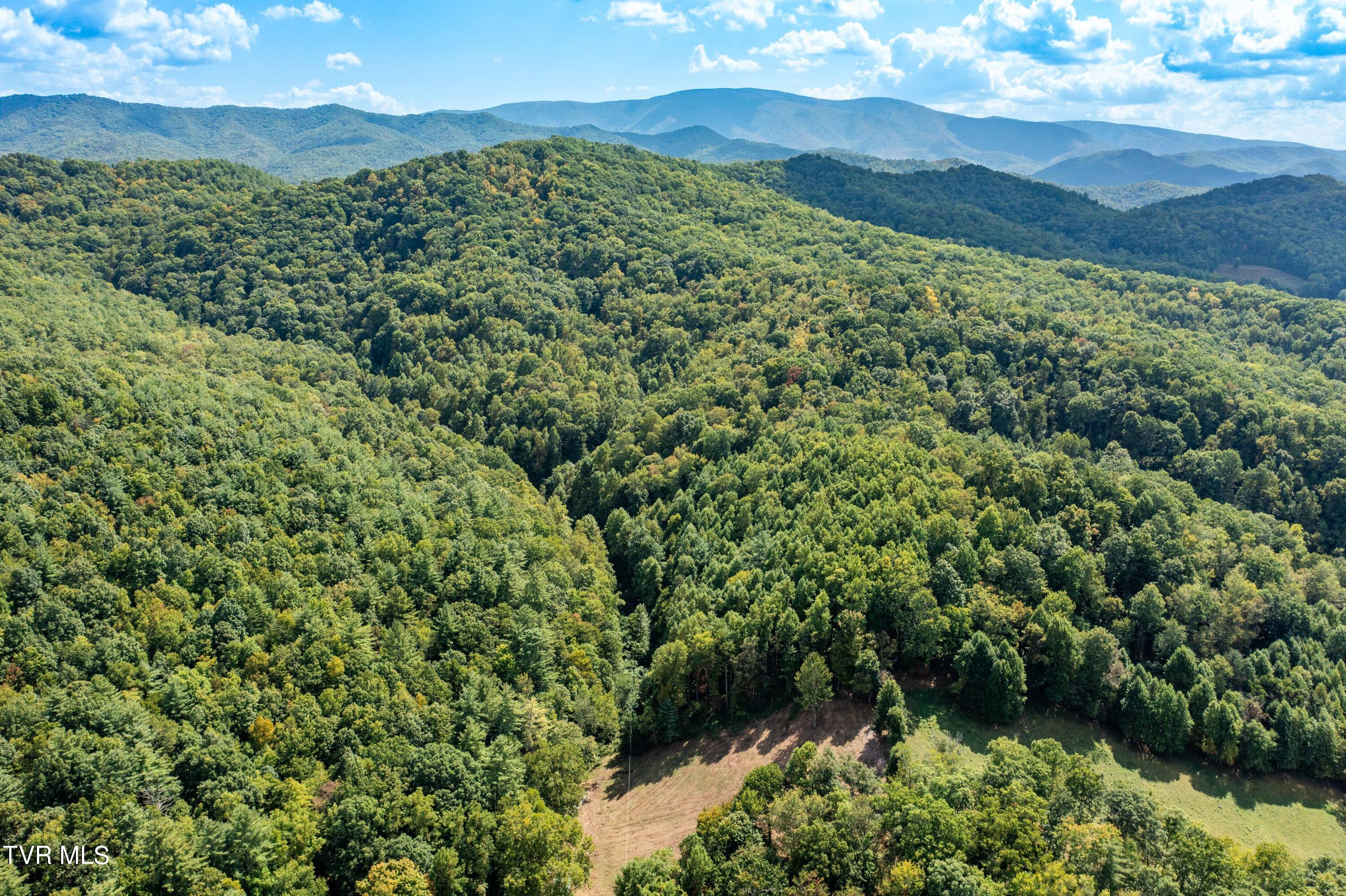 Tbd Oaks Road Unicoi, TN 37692 - Photo 24 of 35 TBD Oaks Rd (7 of 35)