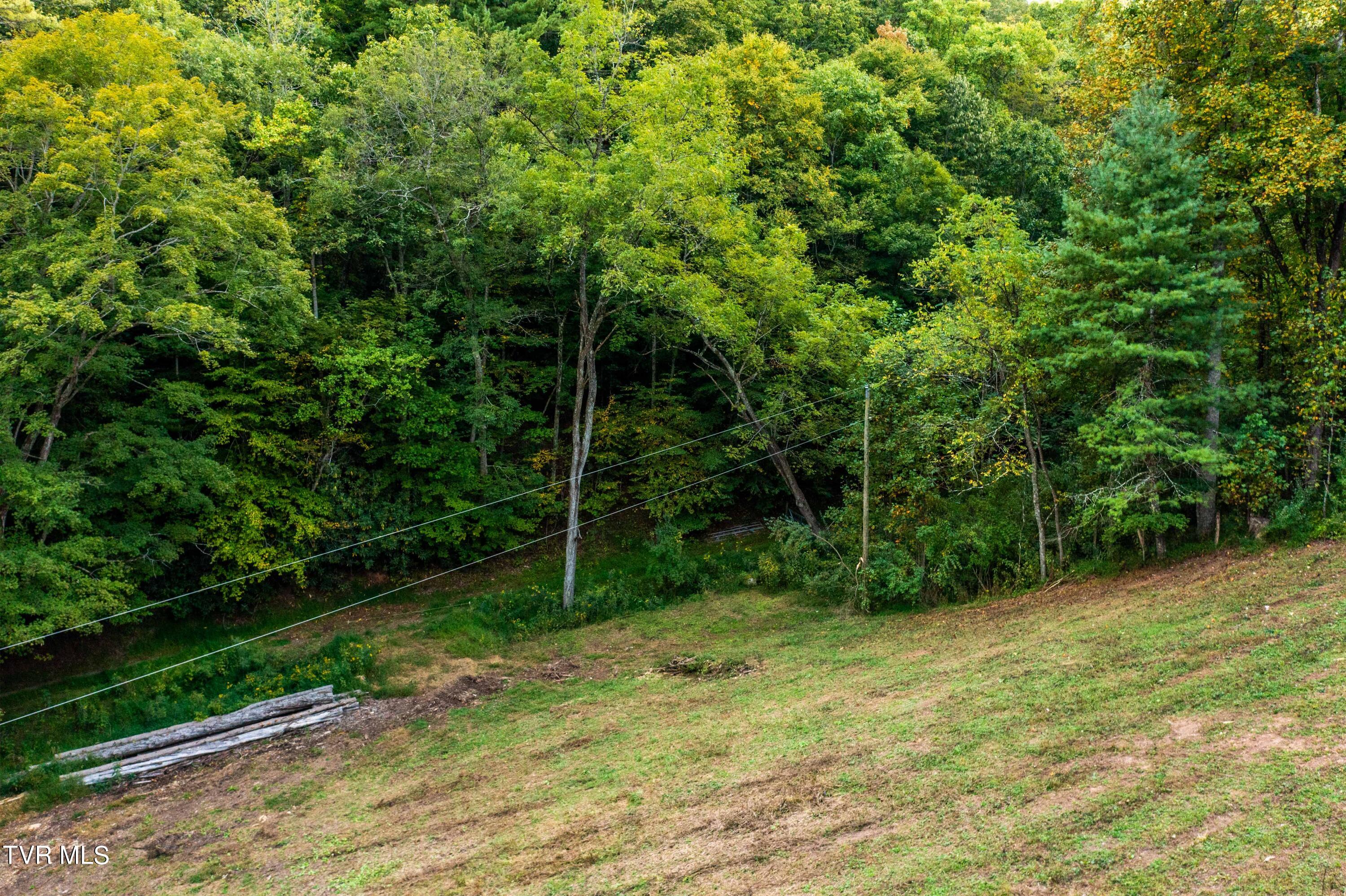 Tbd Oaks Road Unicoi, TN 37692 - Photo 25 of 35 TBD Oaks Rd (20 of 35)