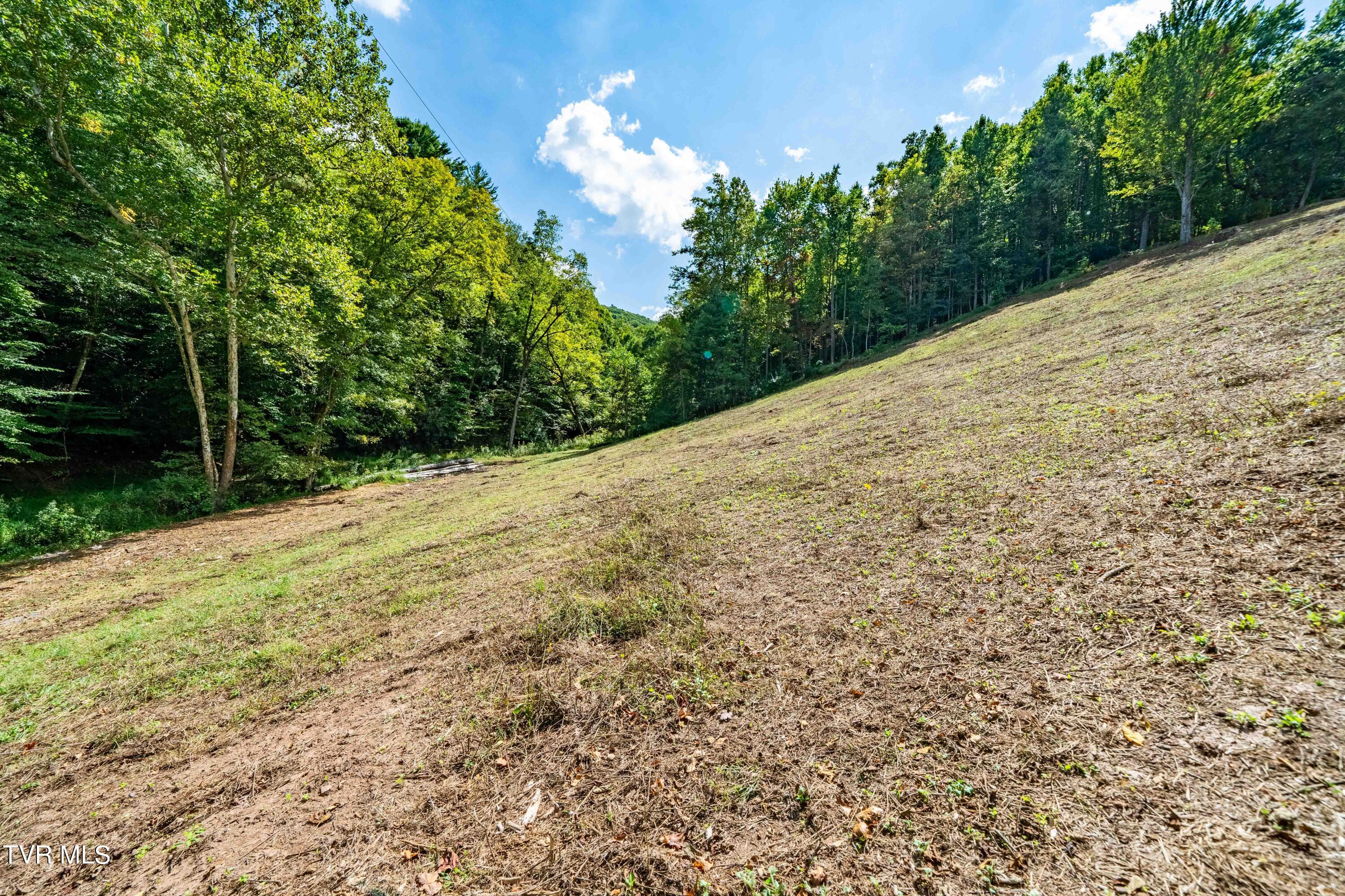 Tbd Oaks Road Unicoi, TN 37692 - Photo 28 of 35 TBD Oaks Rd (33 of 35)