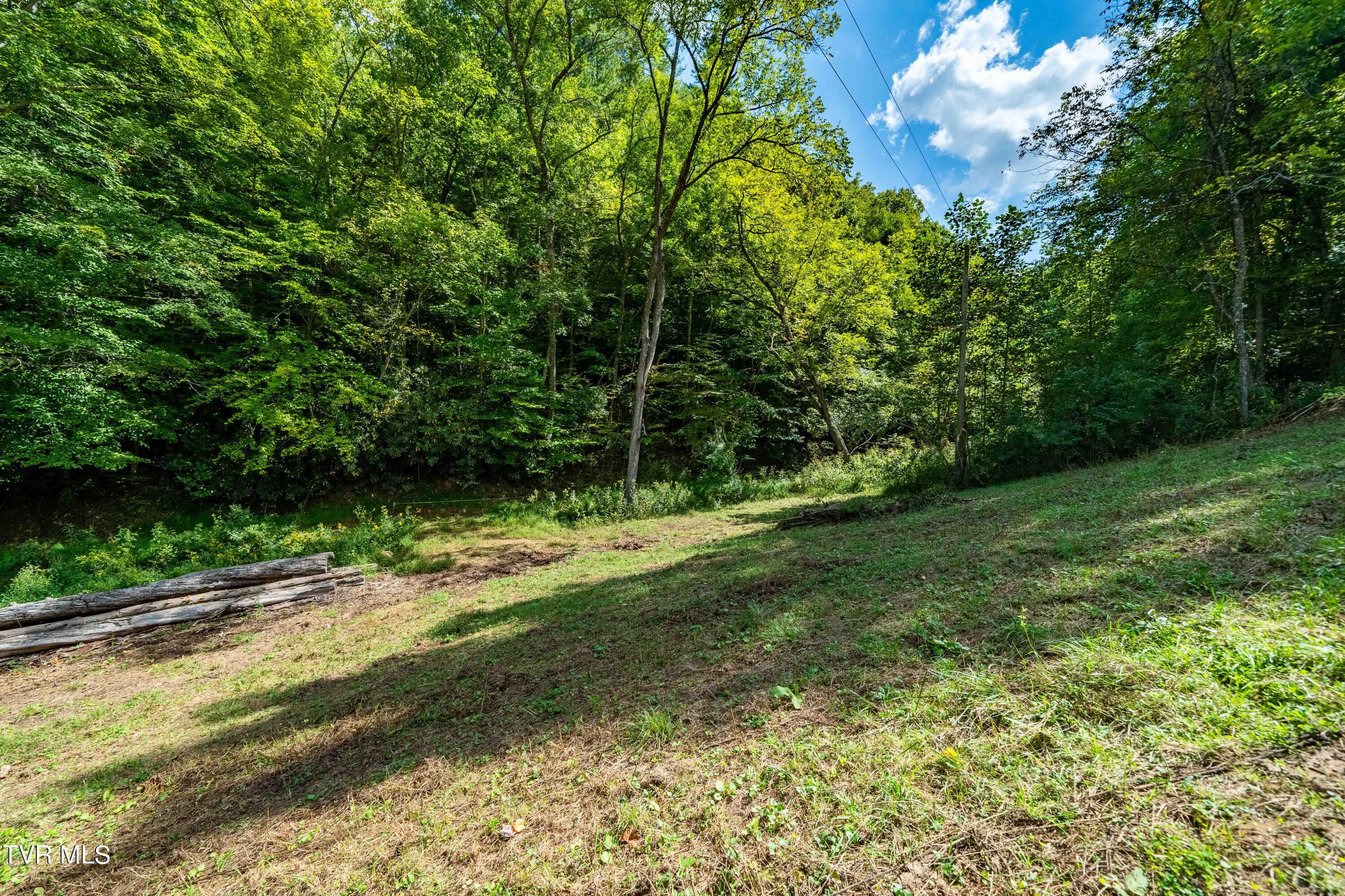 Tbd Oaks Road Unicoi, TN 37692 - Photo 3 of 35 TBD Oaks Rd (31 of 35)