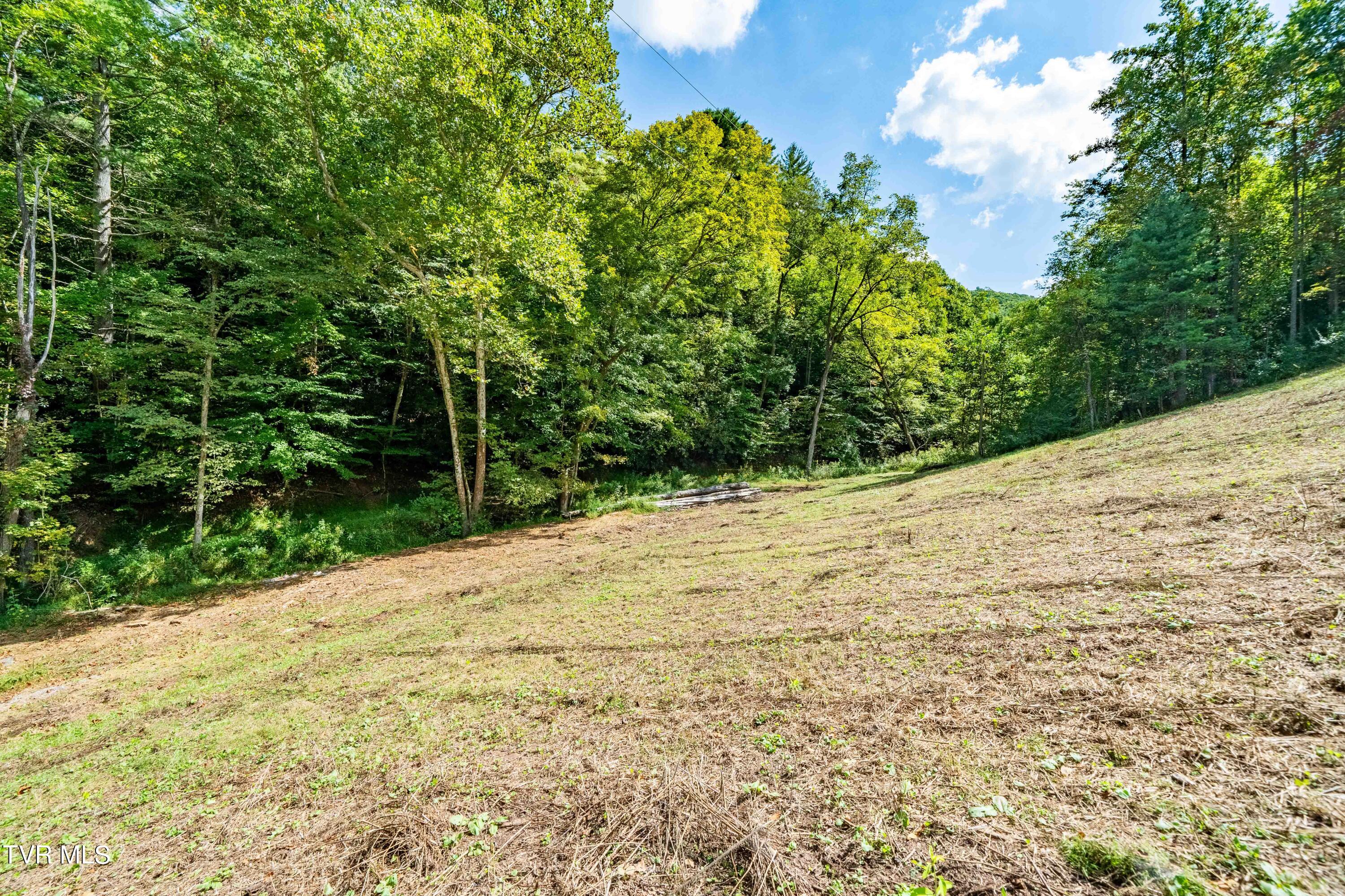 Tbd Oaks Road Unicoi, TN 37692 - Photo 31 of 35 TBD Oaks Rd (32 of 35)