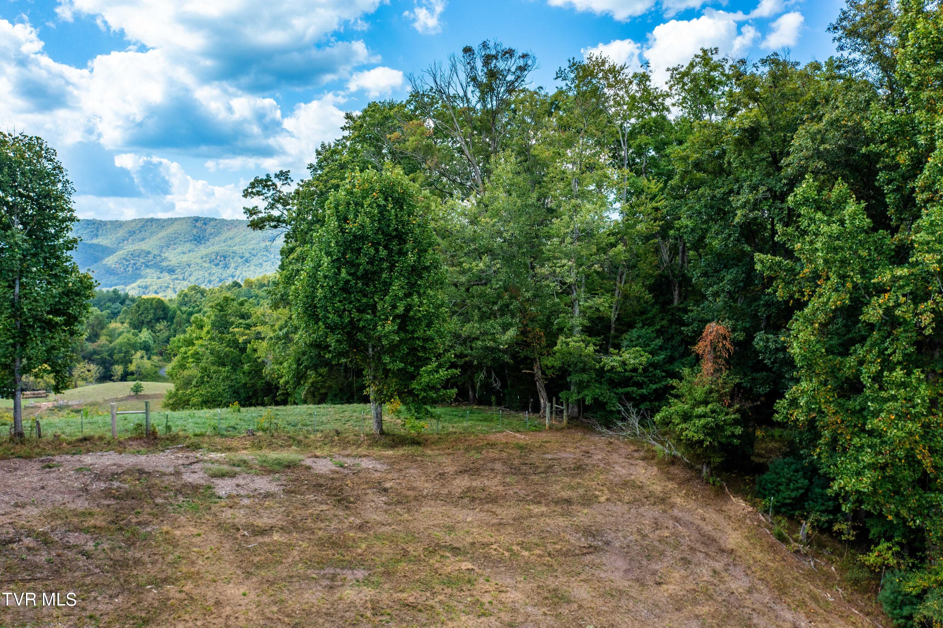 Tbd Oaks Road Unicoi, TN 37692 - Photo 33 of 35 TBD Oaks Rd (19 of 35)