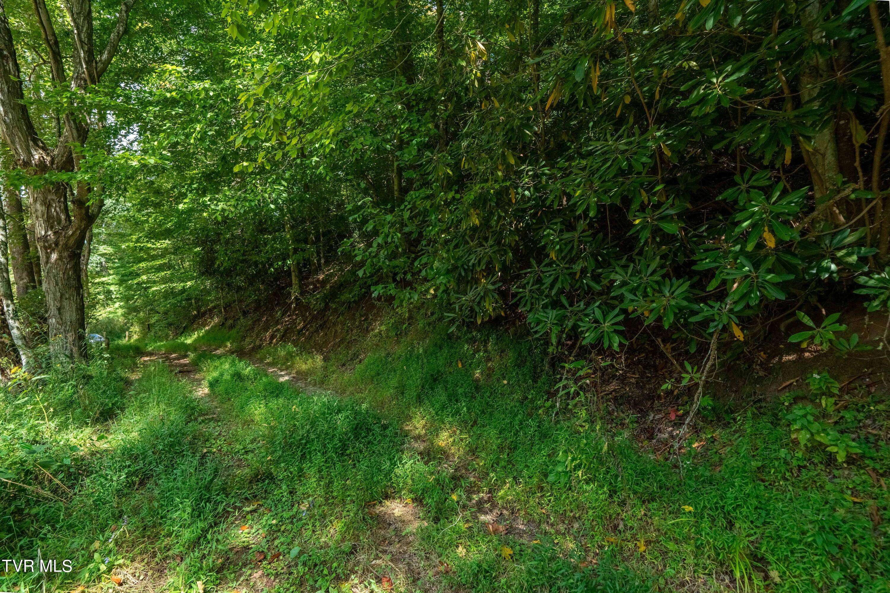 Tbd Oaks Road Unicoi, TN 37692 - Photo 34 of 35 TBD Oaks Rd (26 of 35)