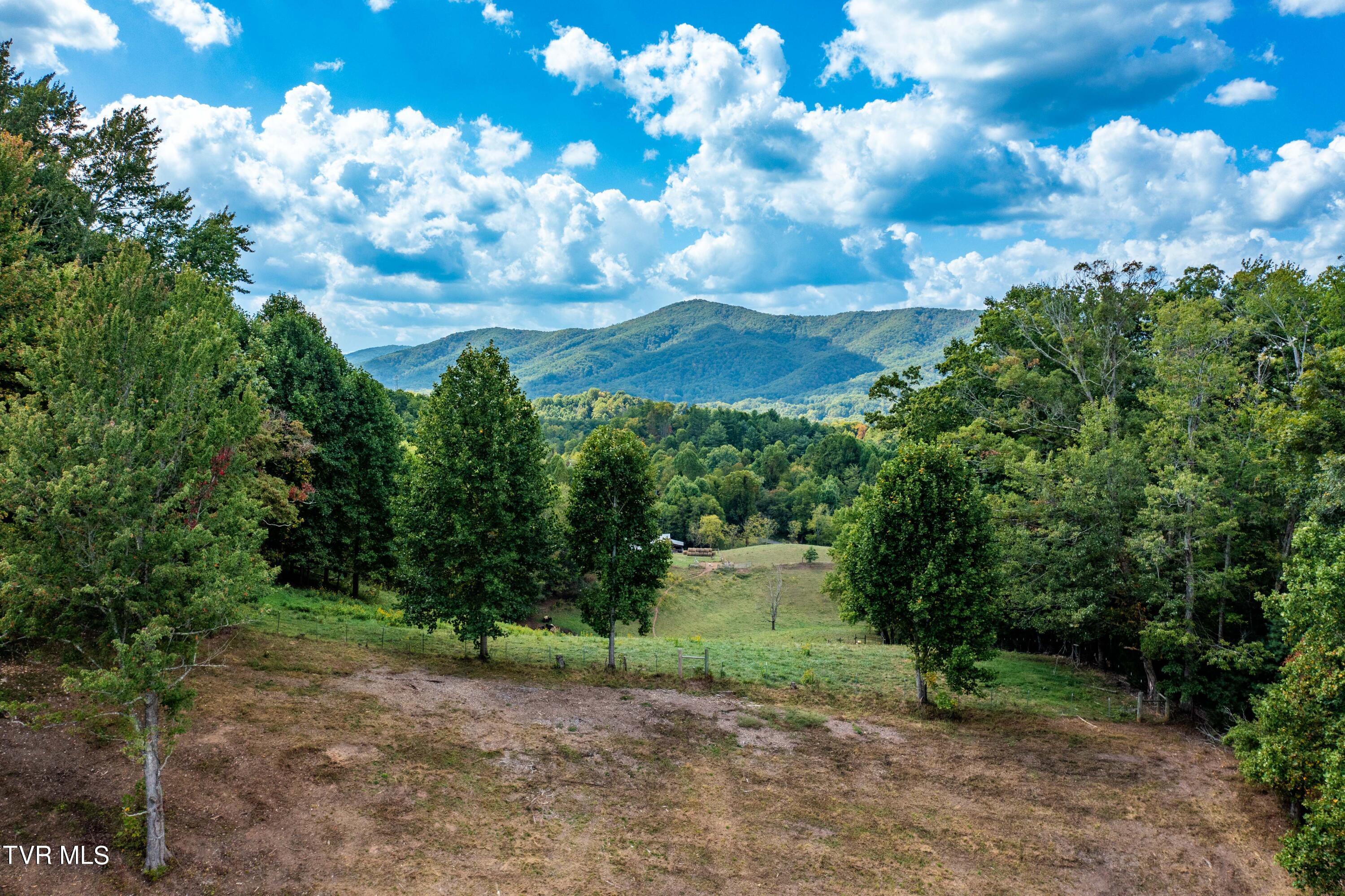 Tbd Oaks Road Unicoi, TN 37692 - Photo 35 of 35 TBD Oaks Rd (15 of 35)