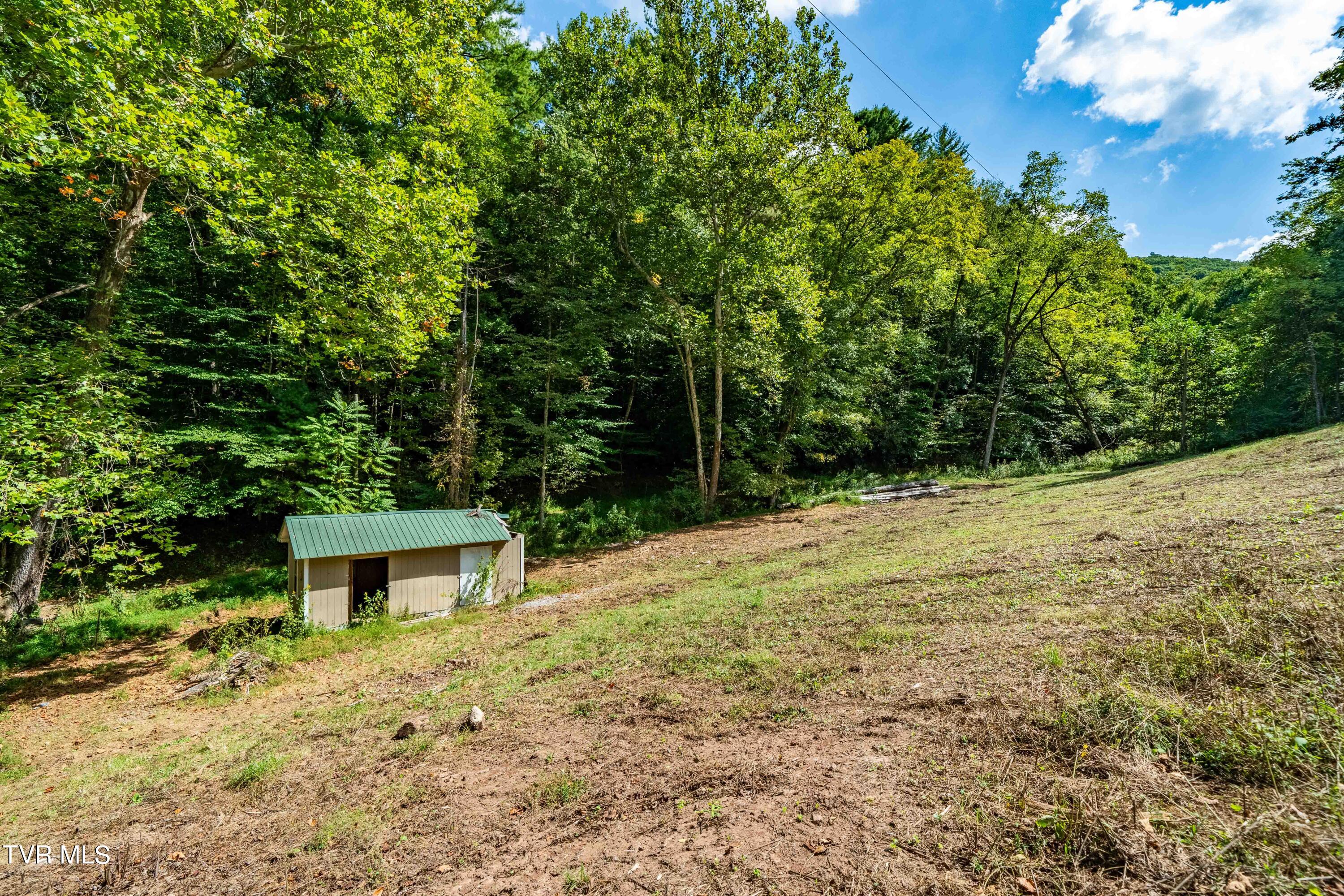 Tbd Oaks Road Unicoi, TN 37692 - Photo 4 of 35 TBD Oaks Rd (34 of 35)