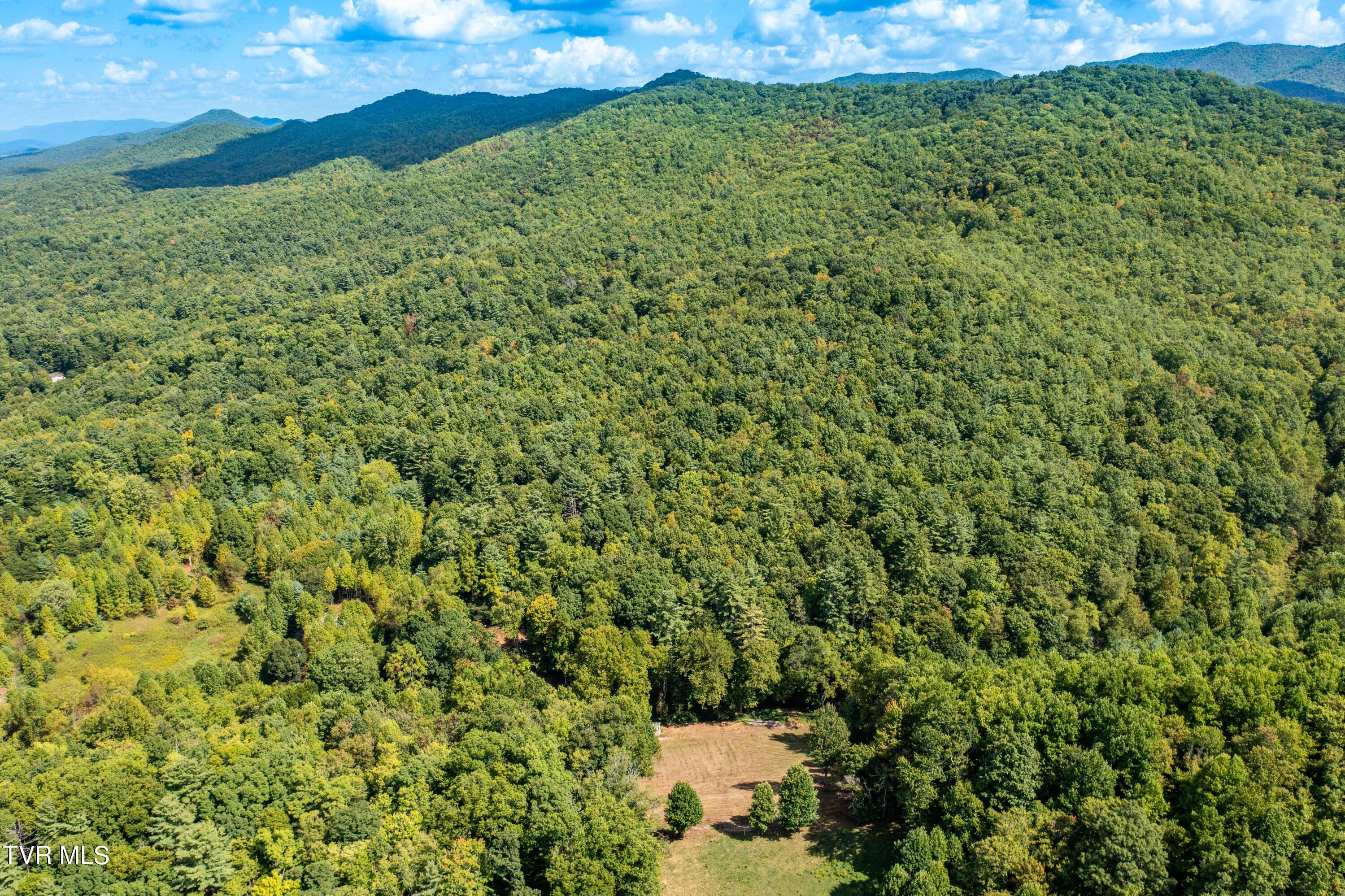Tbd Oaks Road Unicoi, TN 37692 - Photo 6 of 35 TBD Oaks Rd (10 of 35)