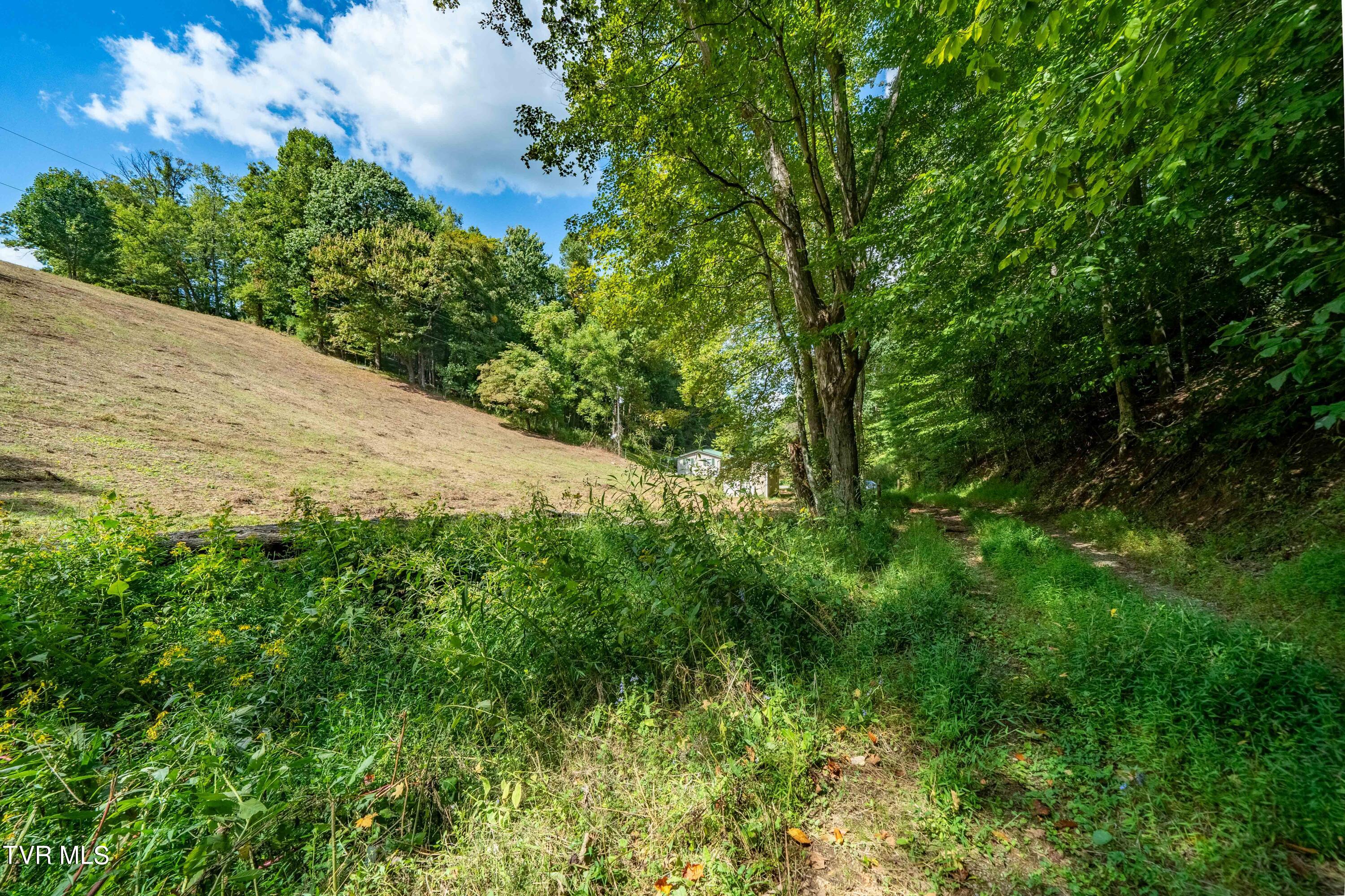 Tbd Oaks Road Unicoi, TN 37692 - Photo 7 of 35 TBD Oaks Rd (25 of 35)