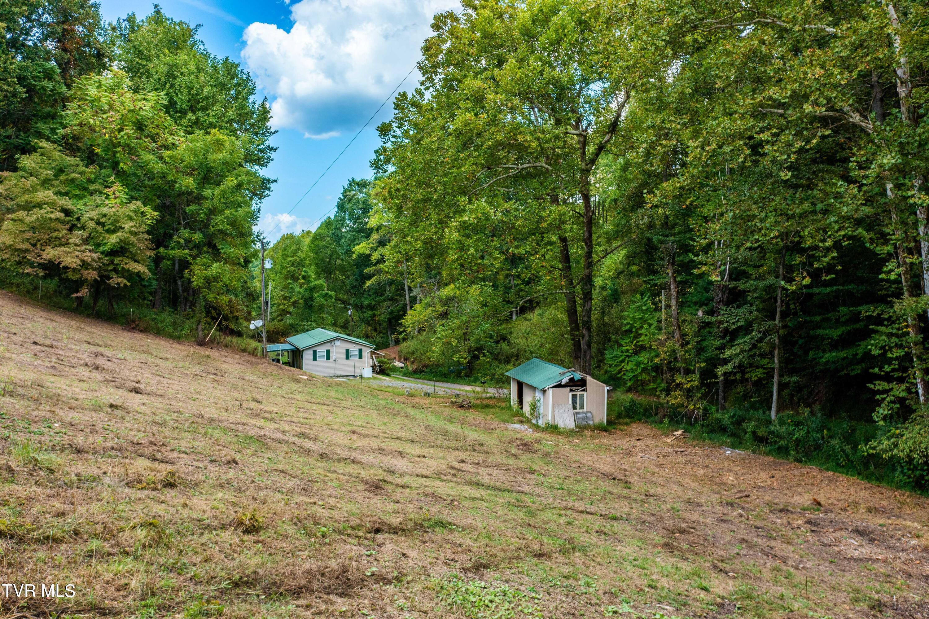 Tbd Oaks Road Unicoi, TN 37692 - Photo 8 of 35 TBD Oaks Rd (21 of 35)