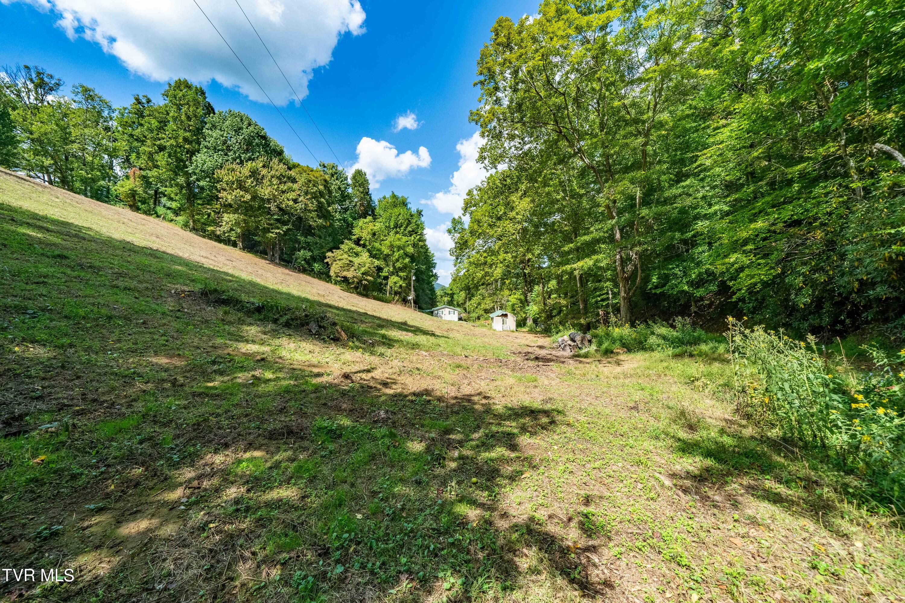 Tbd Oaks Road Unicoi, TN 37692 - Photo 10 of 35 TBD Oaks Rd (28 of 35)