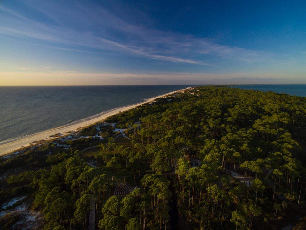 4191 Cape San Blas Road Port St. Joe, FL 32456 - Photo 42 of 51