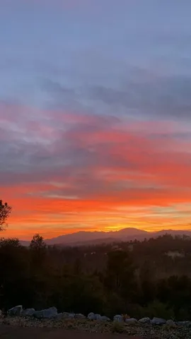 a view of entryway with a chandelier fan