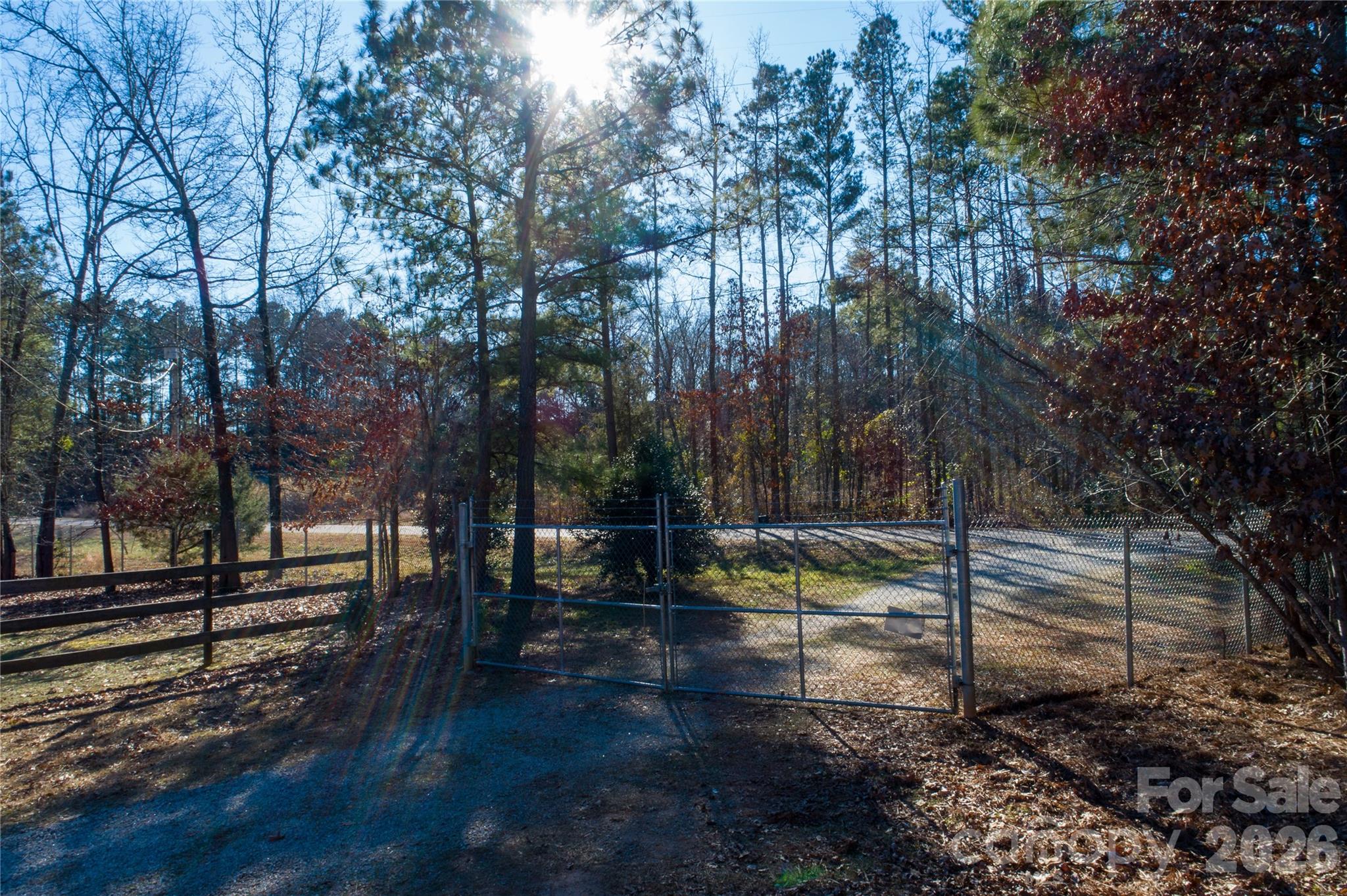 153 Lake Road Rockingham, NC 28379 - Photo 18 of 30 a view of yard