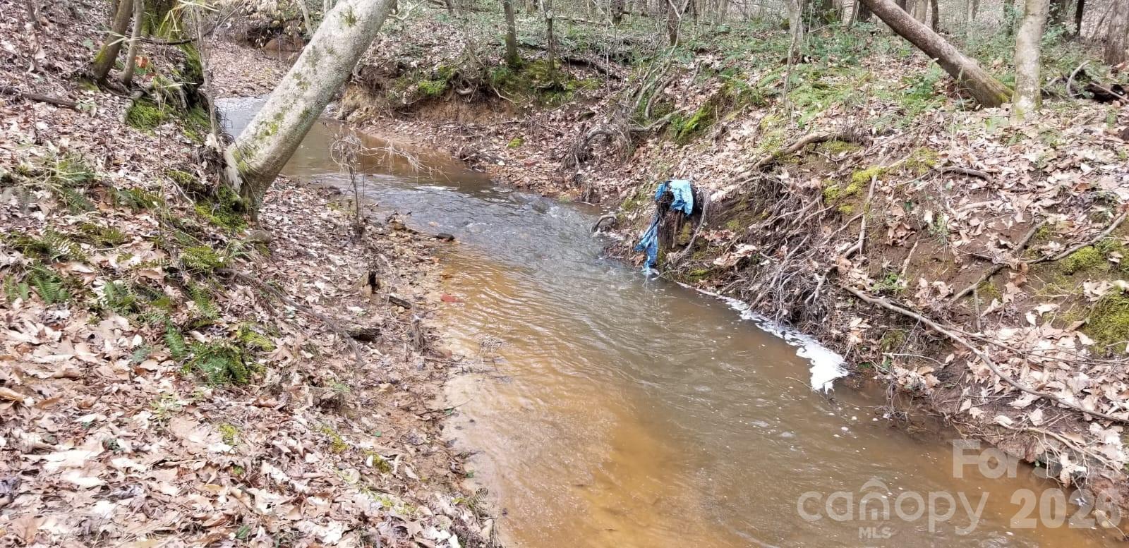 153 Lake Road Rockingham, NC 28379 - Photo 29 of 30 a view of a yard with a tree