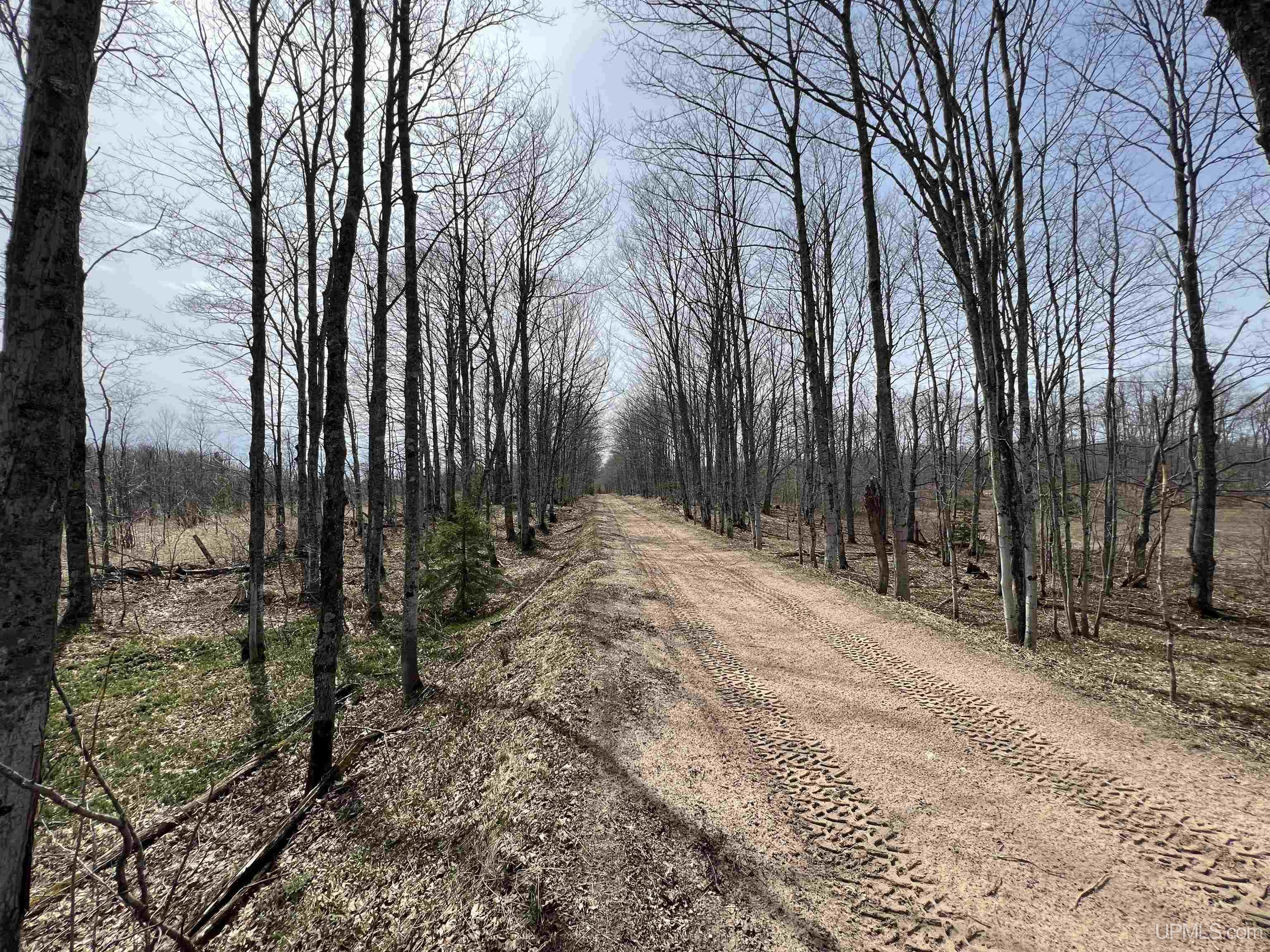 H58 St Shingleton Mi 49895 Shingleton, MI 49884 - Photo 14 of 21