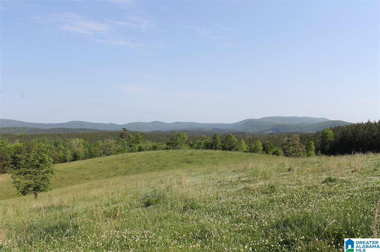 31 County Road Ashland, AL 36251 - Photo 8 of 38