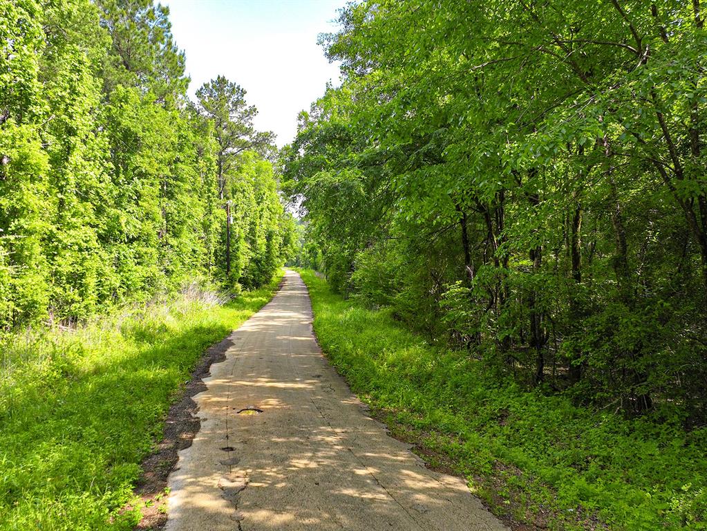 Tbd Kings Road San Augustine, TX 75972 - Photo 8 of 11