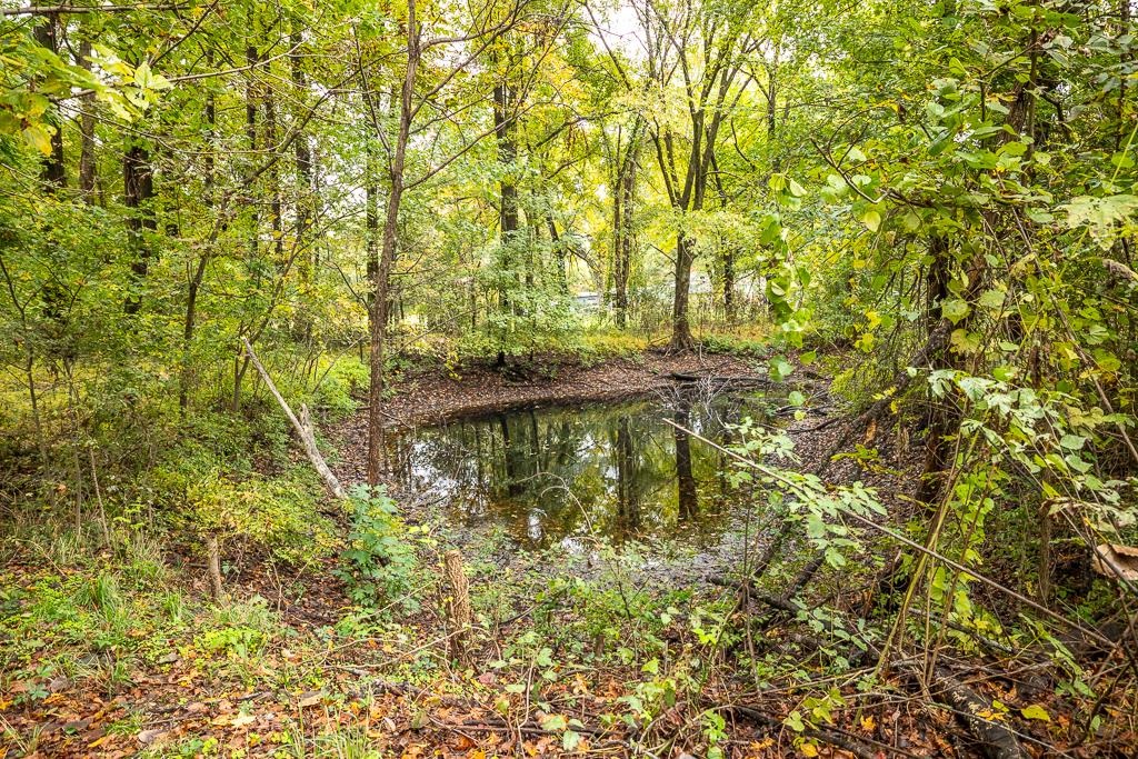 4036 Shelby Road Millington, TN 38053 - Photo 26 of 26 a view of lake view