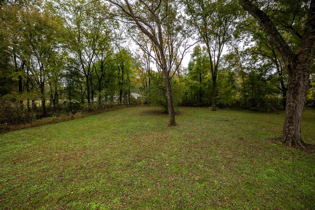4036 Shelby Road Millington, TN 38053 - Photo 5 of 26 a view of a field with a tree