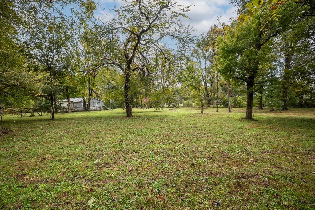 4036 Shelby Road Millington, TN 38053 - Photo 6 of 26 a view of field with trees