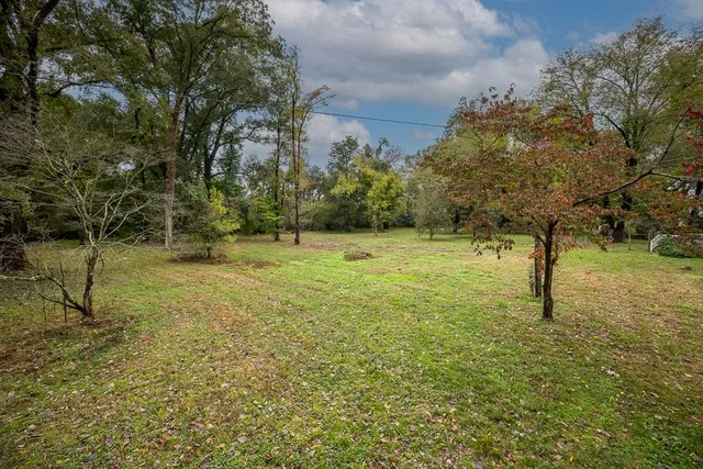 a view of a trees with a yard