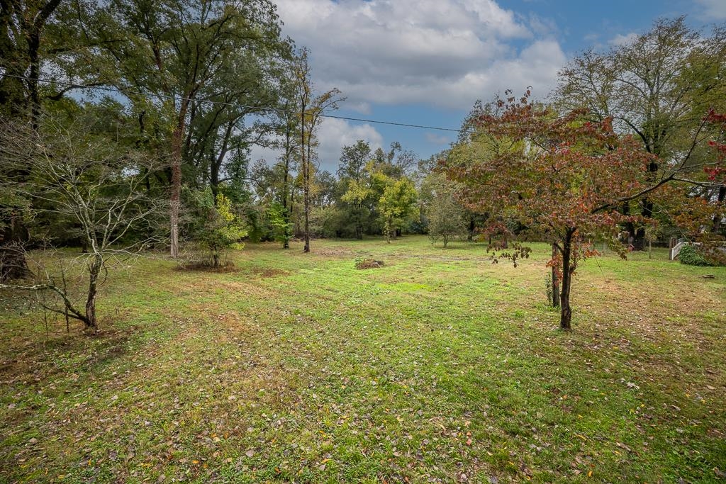 4036 Shelby Road Millington, TN 38053 - Photo 7 of 26 a view of a trees with a yard